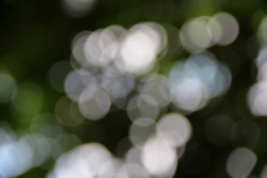 Bokeh soyut güzel doğa sıcak arka plan kopya alanı ile.