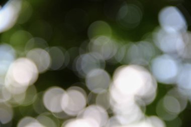 Bokeh soyut güzel doğa sıcak arka plan kopya alanı ile.