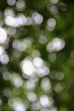 Bokeh soyut güzel doğa sıcak arka plan kopya alanı ile.