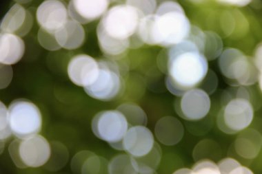 Bokeh soyut güzel doğa sıcak arka plan kopya alanı ile.