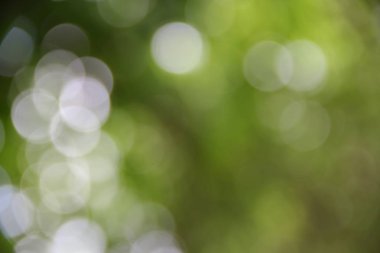 Bokeh soyut güzel doğa sıcak arka plan kopya alanı ile.