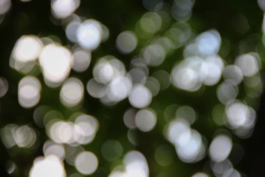 Bokeh soyut güzel doğa sıcak arka plan kopya alanı ile.