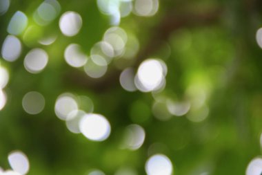 Bokeh soyut güzel doğa sıcak arka plan kopya alanı ile.