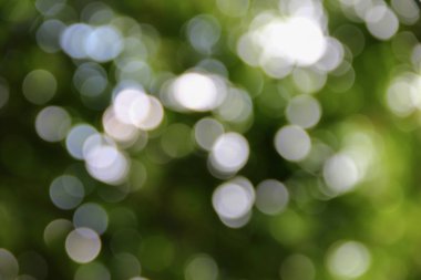 Bokeh soyut güzel doğa sıcak arka plan kopya alanı ile.