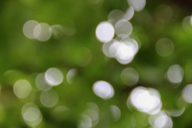 Bokeh soyut güzel doğa sıcak arka plan kopya alanı ile.