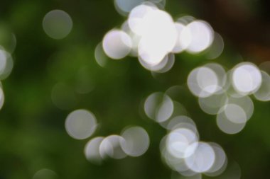 Bokeh soyut güzel doğa sıcak arka plan kopya alanı ile.