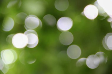 Bokeh soyut güzel doğa sıcak arka plan kopya alanı ile.