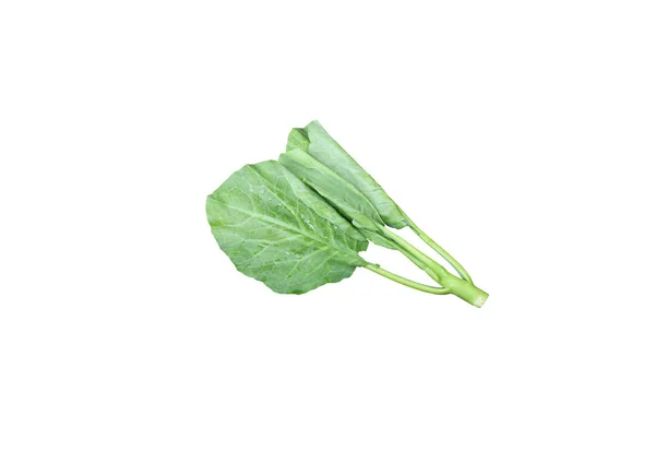 Chinese Kale Fresh Vegetable Isolated White Background Clipping Path — Stock Photo, Image