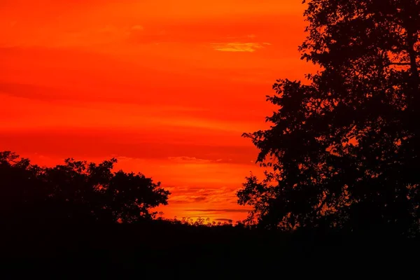 Západ Slunce Krásné Barevné Krajiny Silueta Strom Obloze Soumrak — Stock fotografie