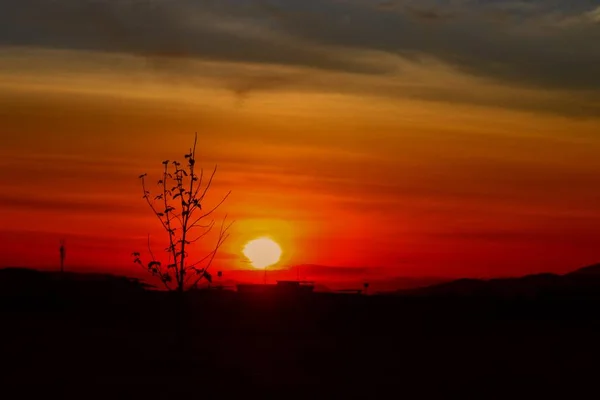 Coucher Soleil Beau Paysage Coloré Dans Ciel Bleu Soirée Nature — Photo