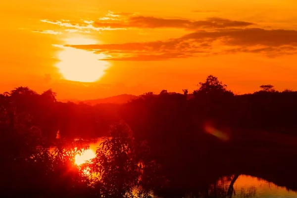 Sunset Beautiful Colorful Landscape Silhouette Tree Water Reflexion Sky Twilight — Stock Photo, Image