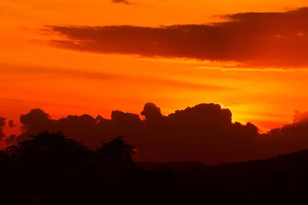 黄昏時の空に夕日美しいカラフルな風景とシルエット ツリー — ストック写真