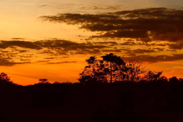 Západ Slunce Krásné Barevné Krajiny Silueta Stromu Horské Obloze Soumrak — Stock fotografie