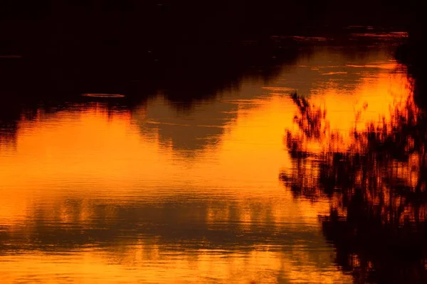 Reflet Rivière Ombre Arbre Dans Eau Magnifique Coucher Soleil Nature — Photo