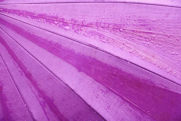 雨の水低下のためのスペース コピーと紫の傘の背景にテキストを追加します — ストック写真