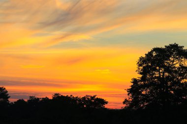 günbatımı güzel renkli manzara ve siluet ağacında gökyüzü twilight saat