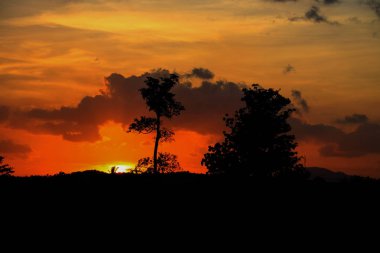 ağaç ve dal siluet batımında gökyüzünde doğa güzel manzara resmi: kopya ile için alan eklemek metin.