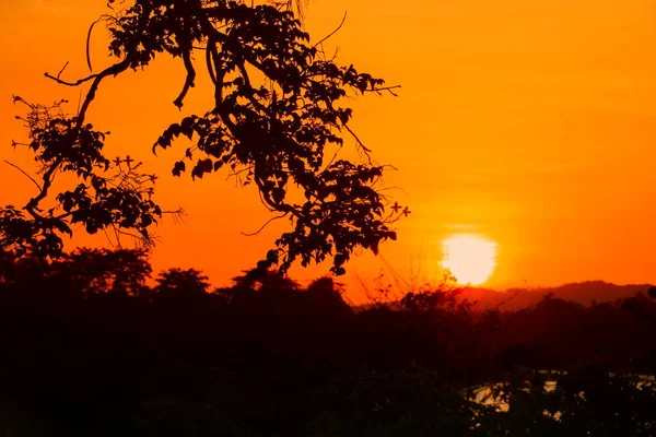 Siluett Träd Och Sunset Vackra Färgstarka Landskap Sky Twilight Time — Stockfoto