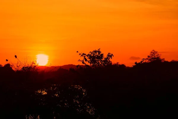 Σιλουέτα Του Δέντρου Και Ηλιοβασίλεμα Όμορφο Πολύχρωμο Τοπίο Στον Ουρανό — Φωτογραφία Αρχείου