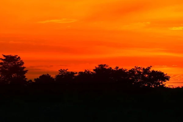 Günbatımı Güzel Renkli Manzara Siluet Ağacında Gökyüzü Twilight Saat — Stok fotoğraf