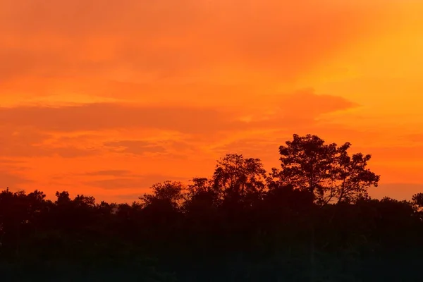 Ηλιοβασίλεμα Όμορφο Πολύχρωμο Τοπίο Και Σιλουέτα Δέντρο Στον Ουρανό Λυκόφως — Φωτογραφία Αρχείου