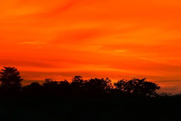 Günbatımı Güzel Renkli Manzara Siluet Ağacında Gökyüzü Twilight Saat — Stok fotoğraf