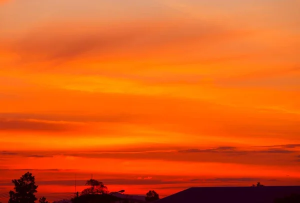 Zachód Słońca Piękny Kolorowy Krajobraz Sylwetka Drzewa Niebie Zmierzch Czas — Zdjęcie stockowe