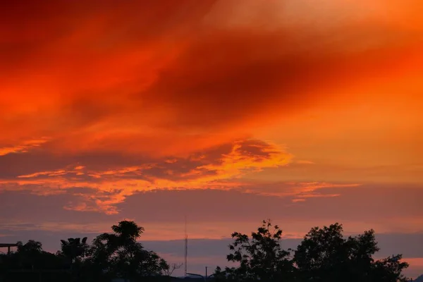 Sunset Beautiful Colorful Landscape Silhouette Tree Sky Twilight Time — Stock Photo, Image