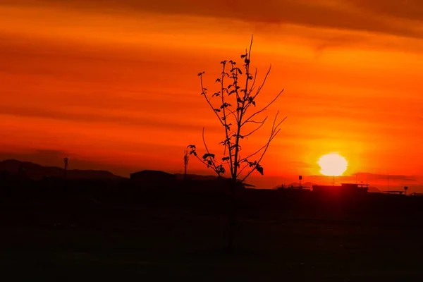 Закат Красивый Красочный Пейзаж Силуэт Дерева Сумерках Небо Время — стоковое фото