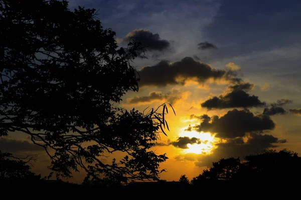 Baum Und Ast Silhouette Bei Sonnenuntergang Himmel Schöne Landschaft Bild — Stockfoto