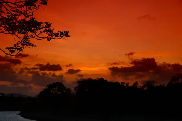 Baum Und Ast Silhouette Bei Sonnenuntergang Himmel Schöne Landschaft Bild — Stockfoto