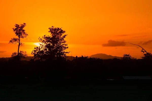 Tree Branch Silhouette Sunset Sky Beautiful Landscape Image Nature Copy — Stock Photo, Image