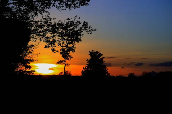 Träd Och Gren Siluett Solnedgången Himlen Vackra Landskapet Bilden Naturen — Stockfoto