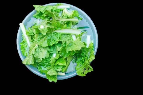 Kinesisk Kål Ekologiska Vegetabiliska Isolerad Svart Bakgrund Och Urklippsbana — Stockfoto