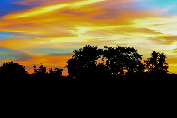Sonnenuntergang Schöne Bunte Landschaft Und Silhouette Baum Himmel Dämmerung Zeit — Stockfoto