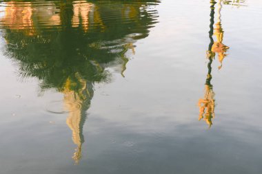 su yansıma manzara parkı ve mavi gökyüzü arka plan