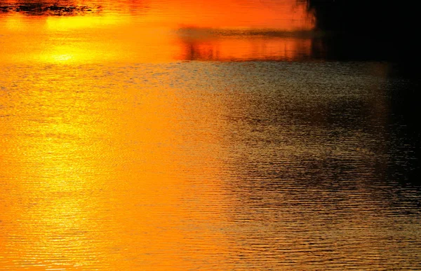 Yansıma Nehir Gölge Ağacı Güzel Günbatımı Doğa — Stok fotoğraf