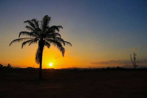 Захід Сонця Красивий Барвистий Пейзаж Силует Дерево Небі Сутінки Час — стокове фото