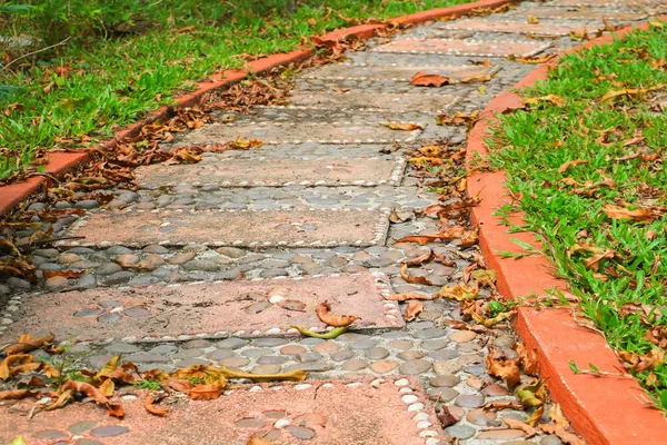 石ブロック公園乾燥葉ドロップの通路道秋 浅い被写し界深度とフォーカスを選択 — ストック写真