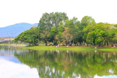 su yansıma yatay beyaz arka plan üzerinde genel Park