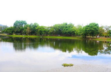 su yansıma yatay beyaz arka plan üzerinde genel Park