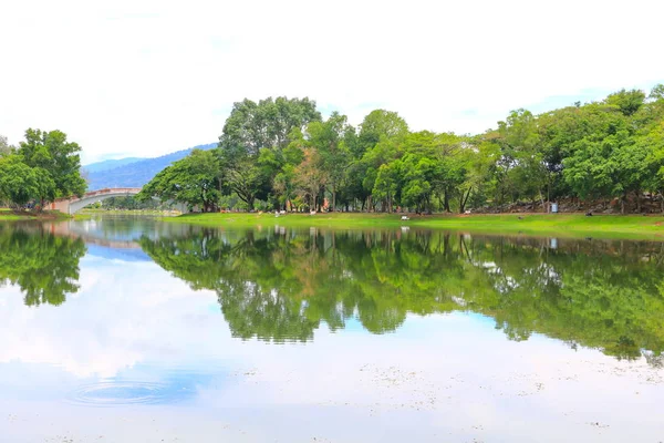 Paisagem Reflexão Água Parque Público Fundo Branco — Fotografia de Stock