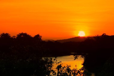 renkli gökyüzü manzarada twilight saat ağaç günbatımı güzel ve siluet