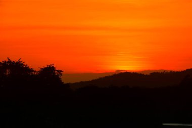 renkli gökyüzü manzarada twilight saat ağaç günbatımı güzel ve siluet