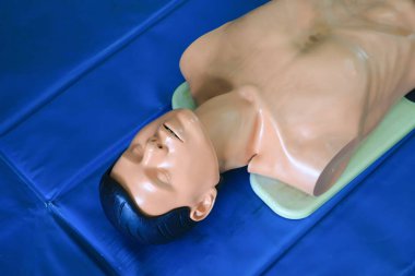 CPR kukla eğitim acil Yenileyicinin yardımcı olmak eğitim