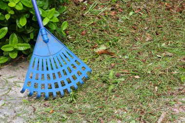 Süpürge mavi plastik bir bahçe