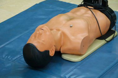 CPR kukla eğitim acil Yenileyicinin yardımcı olmak eğitim