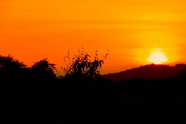 Zonsondergang Prachtige Silhouet Berg Boom Kleurrijke Landschap Hemel Twilight Tijd — Stockfoto