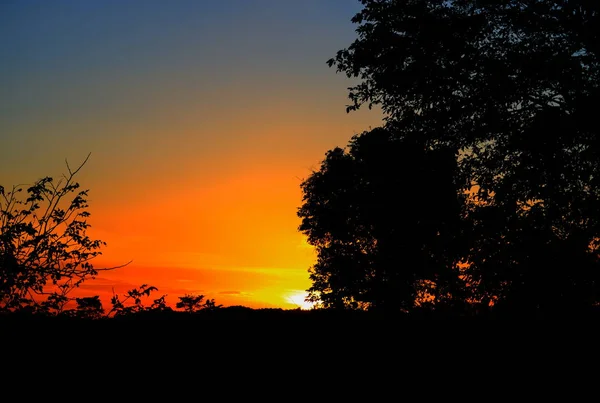 Silueta Stromu Větví Žluť Oranžové Obloze Krásná Krajina Přírodu Kopií — Stock fotografie