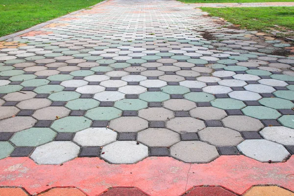 Gehweg Block Stein Farbe Zement Park Und Kopierraum Hinzufügen Text — Stockfoto